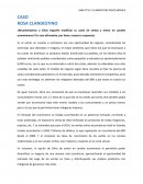 CASO ROSA CLANDESTINO