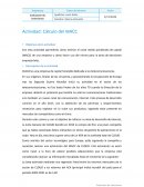 Actividad: Cálculo del WACC