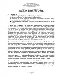 AISLAMIENTO E IDENTIFICACION DE LÍPIDOS. Página 1
