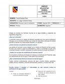 Educacion para la ciudadanía