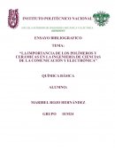Ensayo de Quimica. Polímeros