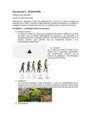 Evolucion biologia. Glosario