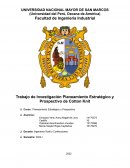 ANALISIS DE PLAMEAMIENTO DE EMPRESA COTTON KNIT