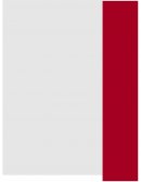 GERENCIA ESTRATÉGICA, BEBIDAS