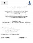 REPORTE PRÁCTICA: PROTOCOLO DE CALIFICACIÓN DE UN ÁREA DE PLANTA PILOTO