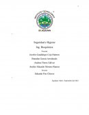 Seguridad e Higiene Ing. Bioquímica