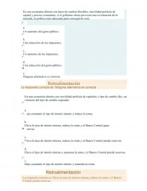 Examen desarrollado de macroeconomía II. Página 1