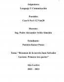 Resumen de la novela Juan Salvador Gaviota: Primera tres partes