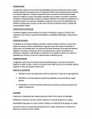 ESTRUCTURA DEL INTESTINO