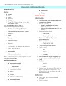 LABORATORIO EVALUACION CAPACIDADES