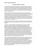 Qué pasó con Meta y su impacto