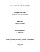 IMPACTO AMBIENTAL DE LA EMPRESA NATURAL FIT