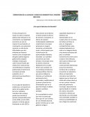 CORRUPCION EN LA ALCALDIA Y COSEJO DE GIRARDOT EN EL PERIODO 2020-2023