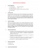 PROYECTOS DE GESTION