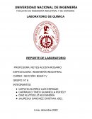 REPORTE DE LABORATORIO