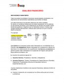 ANALISIS FINANCIERO. INDICADORES FINANCIEROS
