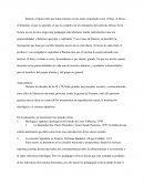 Las Pedagogías Criticas