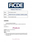 DIDÁCTICA DE LAS ÁREAS CURRICULARES