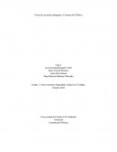 Protocolo acuerdo pedagógico Constitución Política