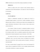 Incrementos en las ventas online en tiempos de pandemia en el Ecuador