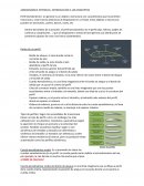 Aerodinámica potencial: introducción a los conceptos