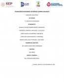 T5-PROYECTO INTEGRADOR rediseño de unos guantes de gimnasio o de entrenamiento