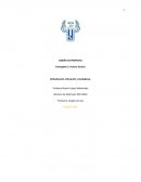 DISEÑO DE PROYECTO Entregable 2. Huerto Escolar