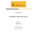 Desarrollo Organizacional Explomin del Perú S.A