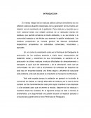 ENSAYO PROBLEMATICA AMBIENTAL