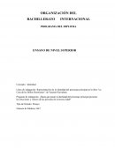 Representación de la identidad del personaje principal en la obra “La Casa de las Bellas Durmientes”