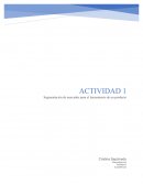 Segmentacion de mercado