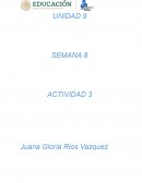 Cómo convertirse en un hábil investigador