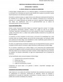 EL EFECTO LÁTIGO EN LA CADENA DE SUMINISTRO