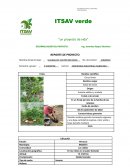 ITSAV verde “un proyecto de vida”