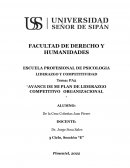AVANCE DE MI PLAN DE LIDERAZGO COMPETITIVO ORGANIZACIONAL