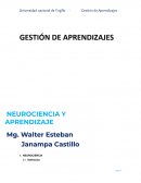 INFORME DE NEUCIENCIA Y APRENDIZAJE
