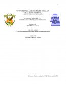 La esquizofrenia paranoide como objeto de estudio psicológico
