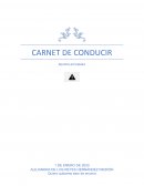 Temario Carnet Conducir Teórico