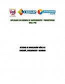 Actividad de consolidación. Educación, entrenamiento y seguridad