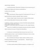 Apuntes Biología: Metabolismo