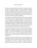 ENSAYO CALIDAD TOTAL