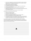 CASO PRACTICO CARMELI