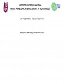 Laboratorio de Bioseparaciones