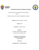 Reportaje sobre el "acoso sexual en la Unah"