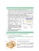 Los tres principios de la función sensoriomotora