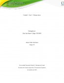 Unidad 2 - Fase 3 - Dilemas éticos