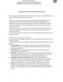 Ensayo sobre Actividad Comercial