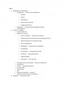 Higado. Metabolismo de carbohidratos