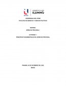 PRINCIPIOS FUNDAMENTALES DEL DERECHO PROCESAL
