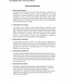 TIPOS DE METAMORFISMO